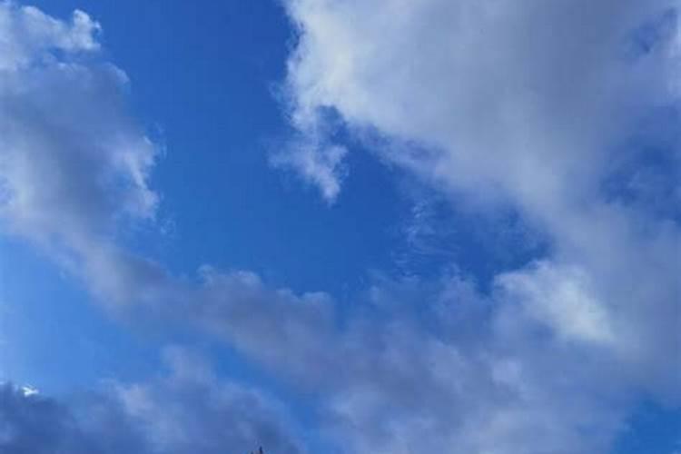 小人指什么生肖