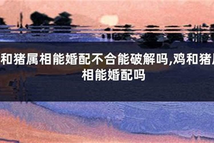 八字婚配夫妻属相相克如何化解呢？