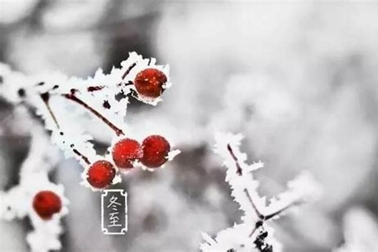 冬至有什么忌讳和讲究