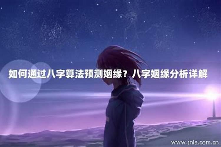 2025年属马人的全年每月运势