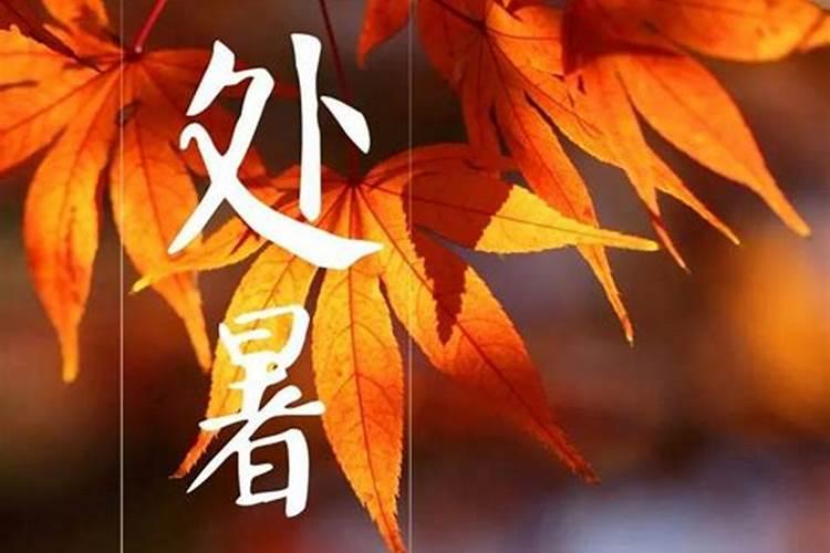 狗肉节玉林什么时候