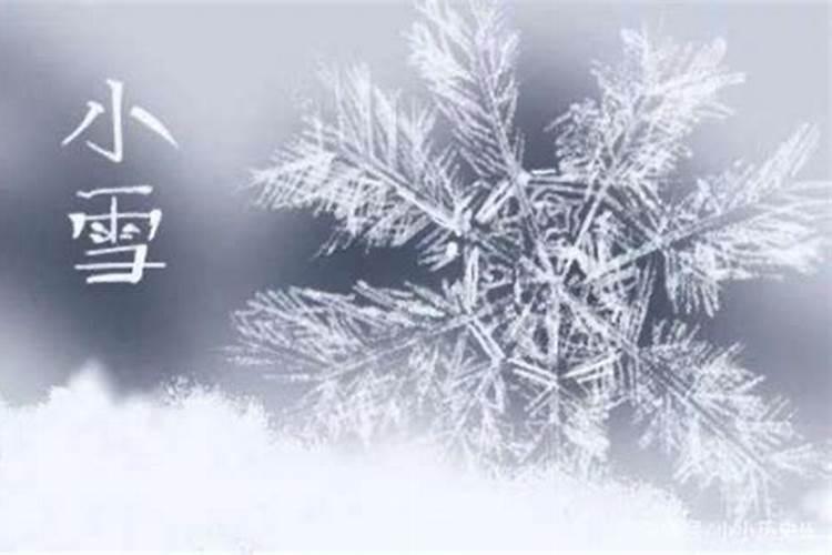 冬雪雪冬指的是哪四个节气