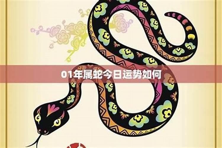 2025属蛇人躲不过去的大难