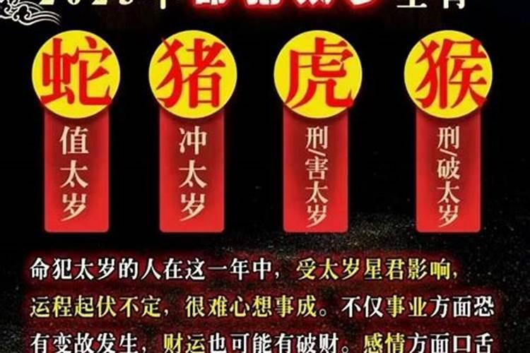 75年兔2025年运势和财运怎么样