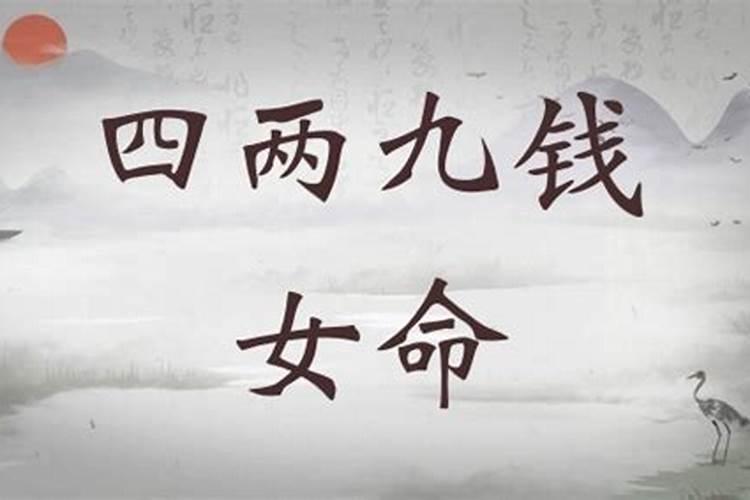 生肖鼠2025年运势 属鼠2025年运势及运程