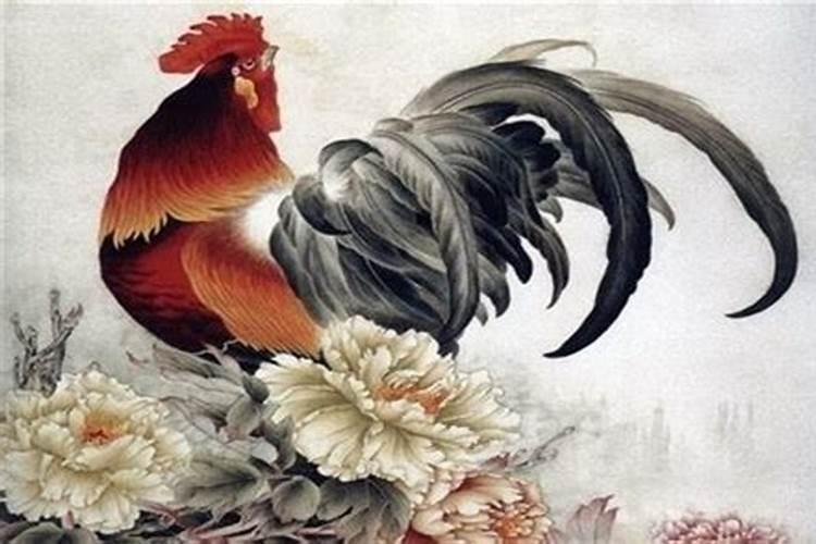 2025年属鸡人的全年运势如何