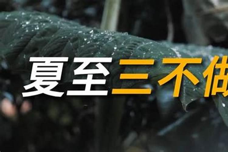 夏至需要注意什么