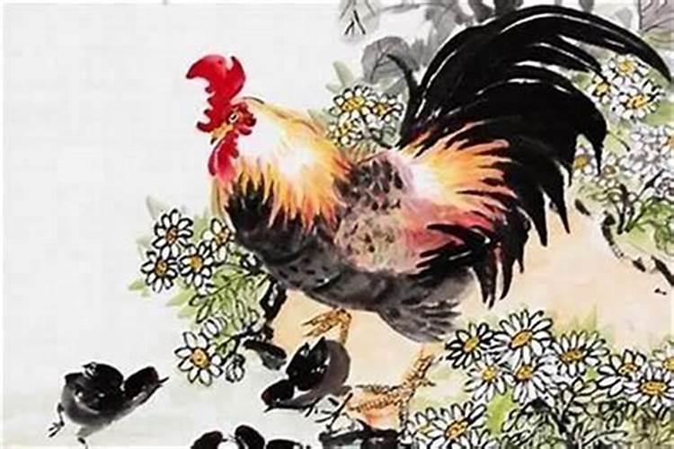 2025年属鸡的全年运势