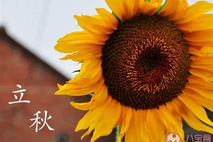 立秋养生要点是什么？