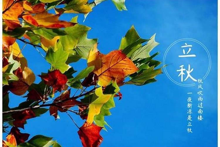 给朋友的立秋祝福语(立秋怎么问候朋友)