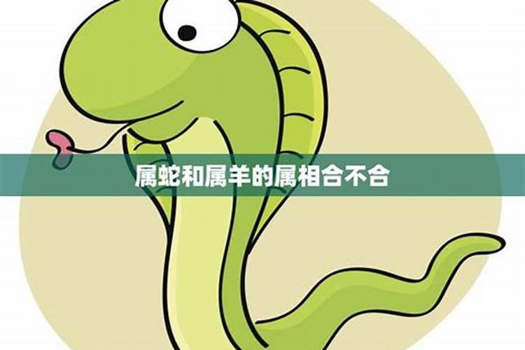 三月十五谁的生日