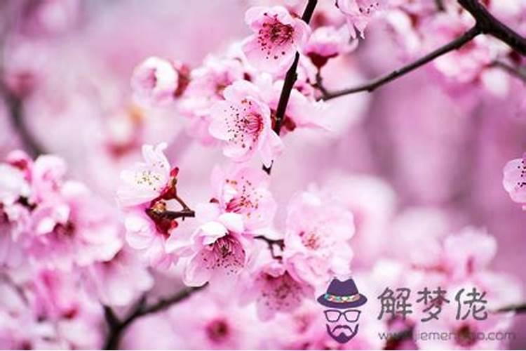 大运和流年哪个力量大