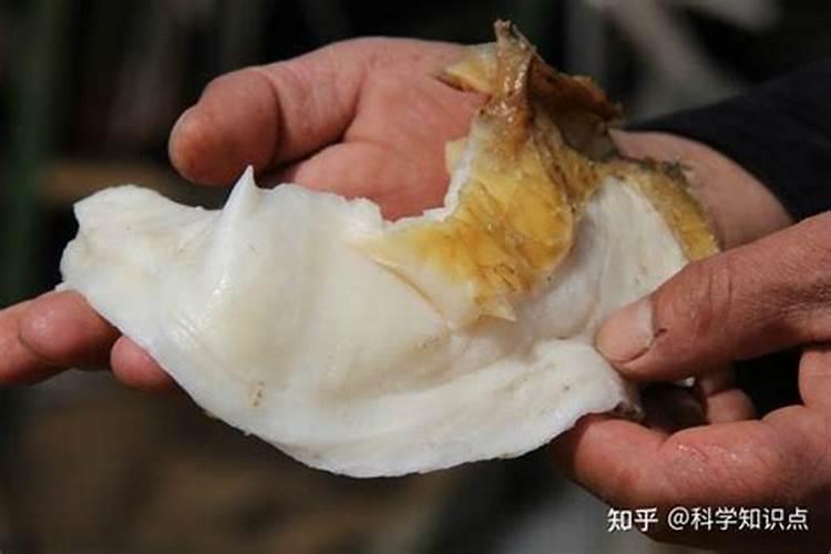 做梦梦到进监狱是什么征兆？