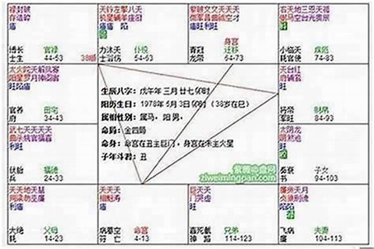 紫微斗数怎么看,帮忙看看
