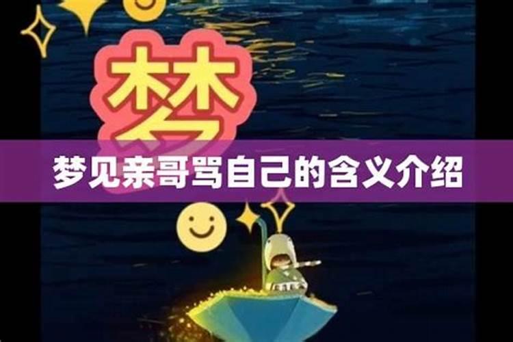 2025年生肖狗82年双喜临门运势