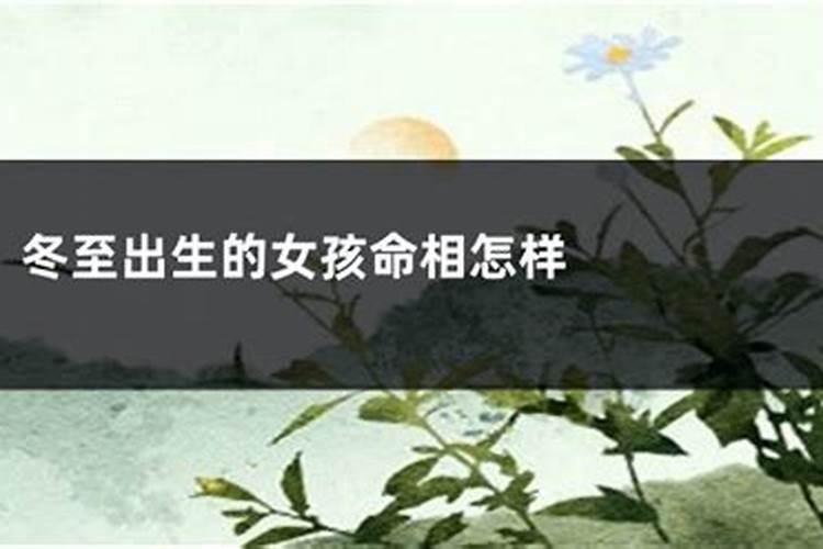 重金求一个详细的八字分析,生日:女性,生于阴历1980年11月16日冬至。出 ...