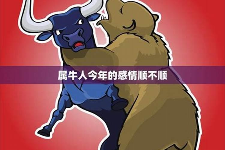 梦见猫说话是什么预兆