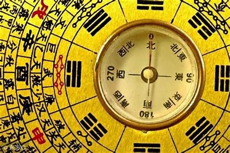 我出生在2003年农历3月15曰,今年的运势怎样,女