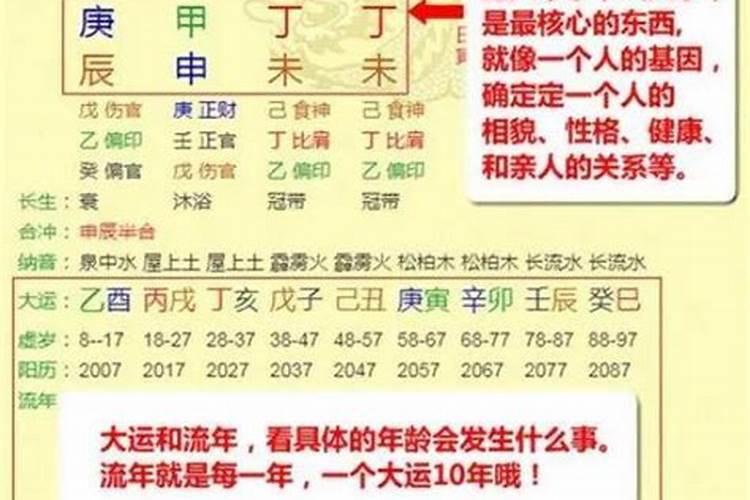 属蛇人今年运势2025年运势如何