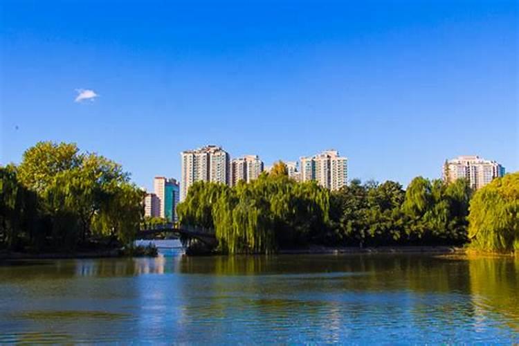 梦到很多小孩子是什么意思