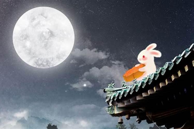 农历11月出生属猪人命好吗