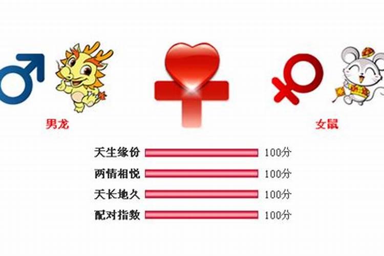 男属龙婚配女属鼠好吗 属龙男和属鼠女的婚姻如何