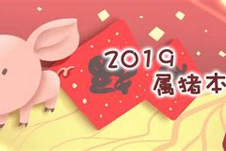 本命猪年带"金猪"饰物好不好？