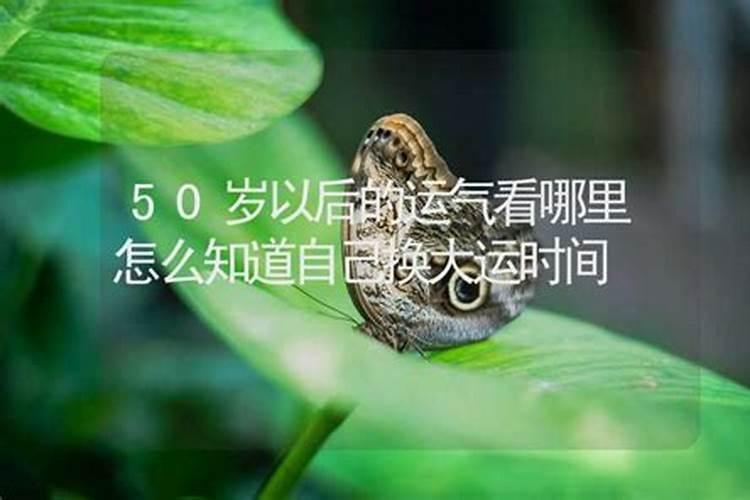 92年猴30岁后十年大运运程