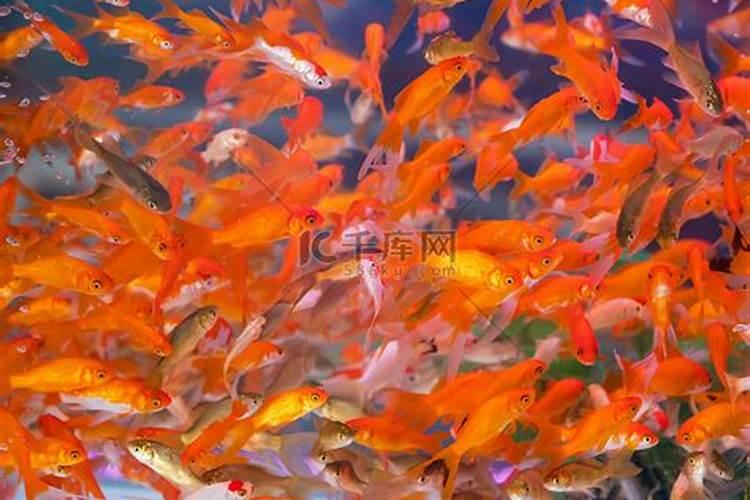 拜财神一般几点最好,拜财神有什么讲究