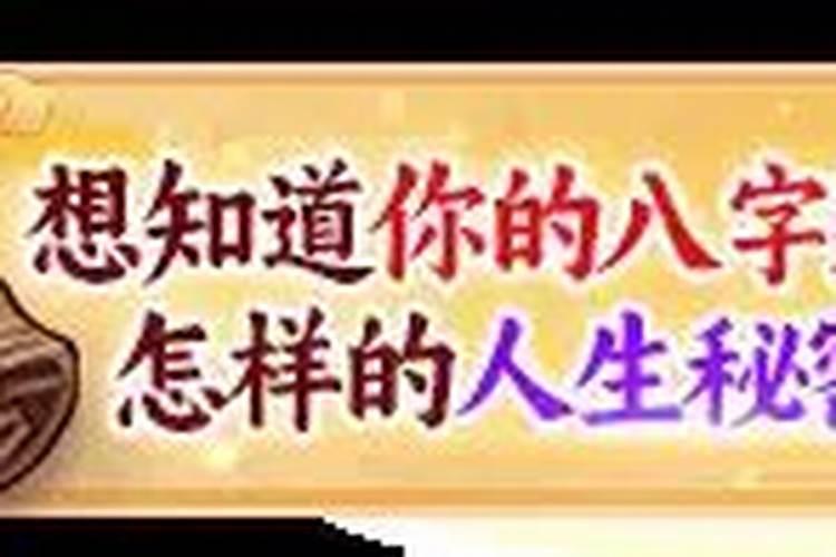 梦见 死猫 求解释