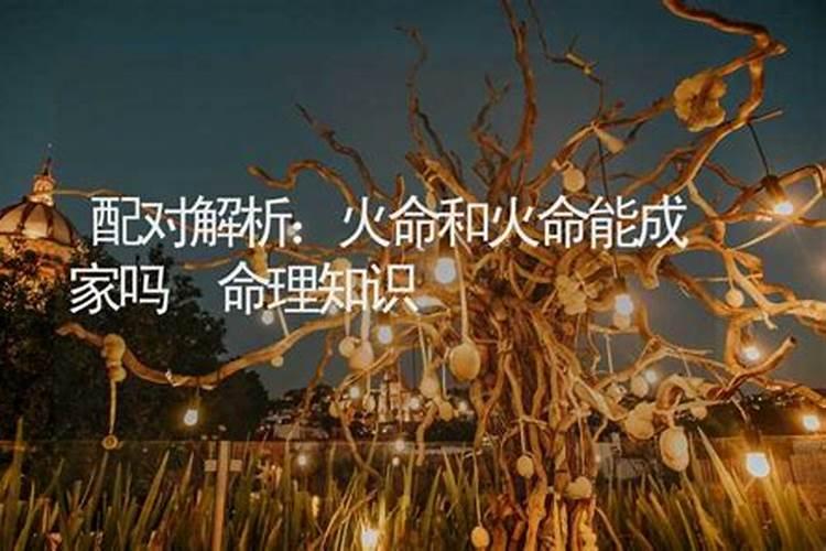 火命蛇和木命兔婚配吗,1987年火命跟1989年木命合婚吗