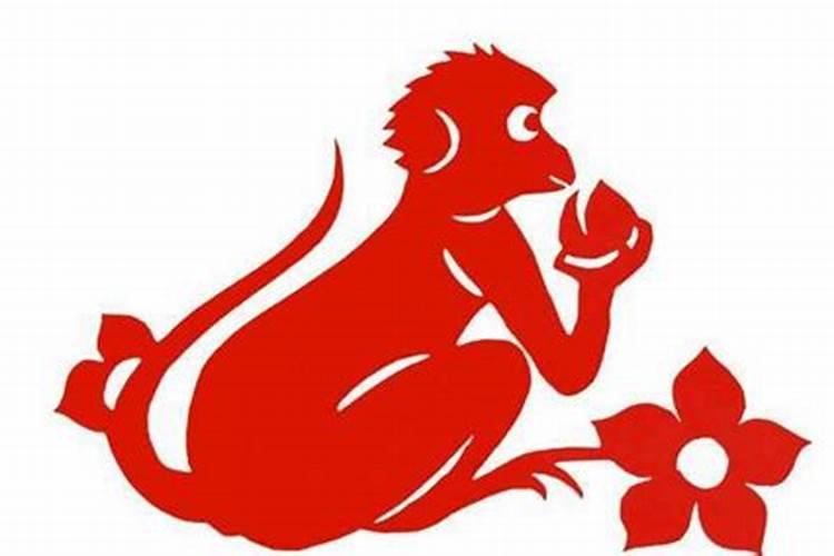 75年的兔和80年的猴合不合 兔和猴在一起有财运吗