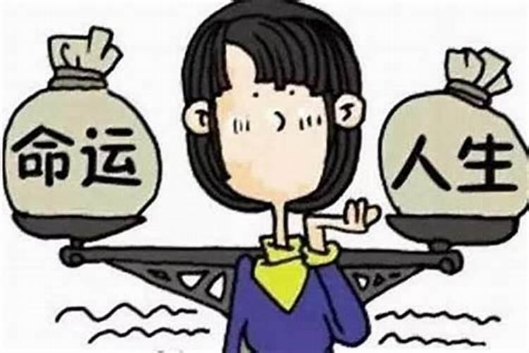 测算八字适合什么职业 八字测适合从事的行业