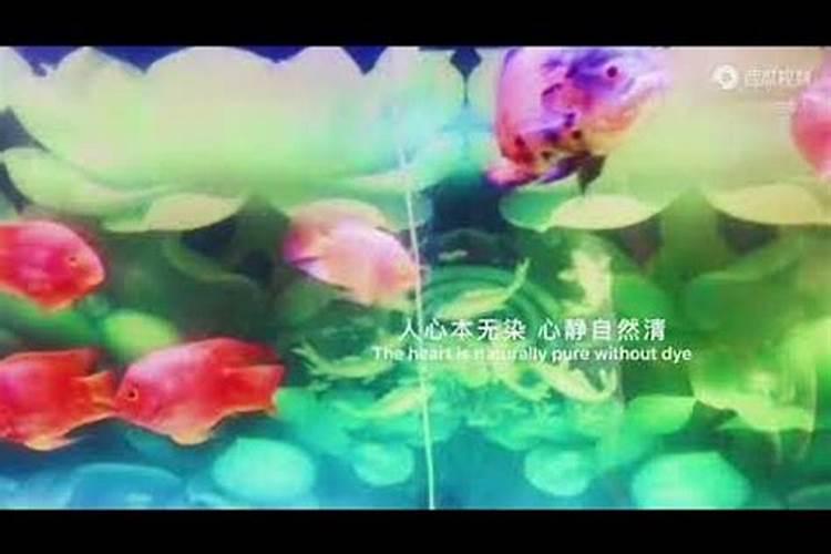 五颜六色的纸是烧给神仙的吗