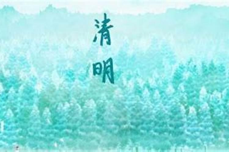 属蛇在2025蛇年的运气如何