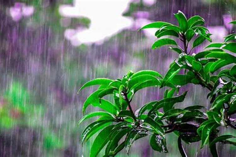 清明节什么时候烧纸最好