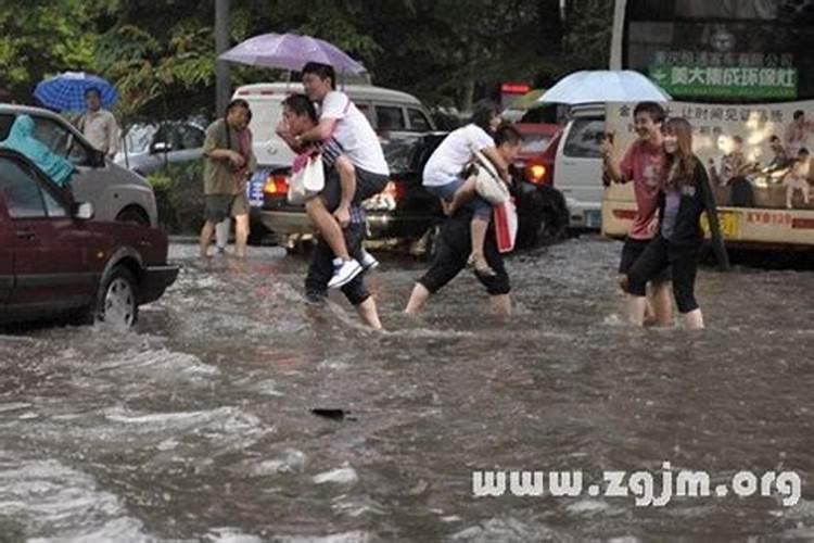 家里摆什么风水最旺运气