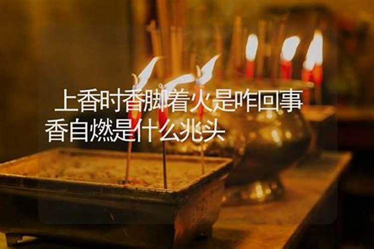 梦见大海退潮抓鱼