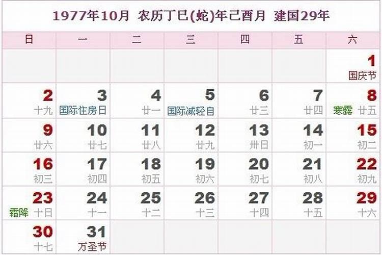 清明节买什么花上坟要几朵