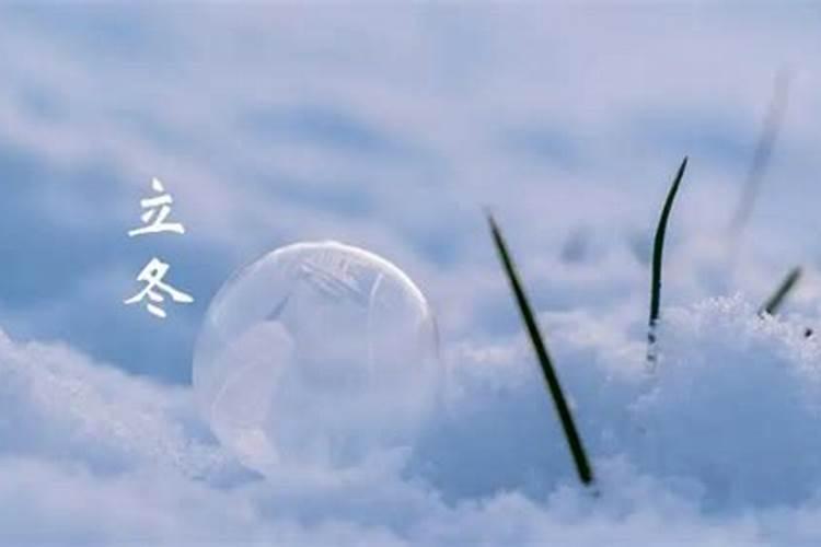 八字算命最准的免费网站算命最准的免费网站是什么