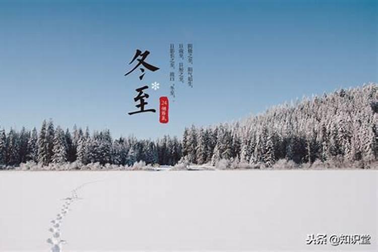 六七年的羊今年的财运好吗 1967年属羊人今年财运如何