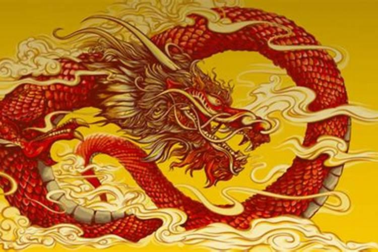 男龙和女马八字相合吗