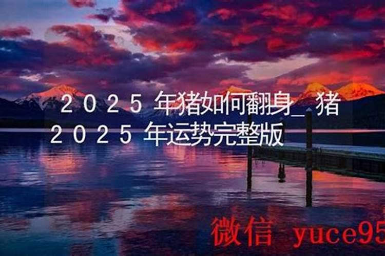 71年属猪男在2025年的全年运势
