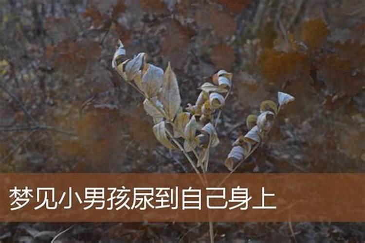 梦见老公开车翻车了人没事