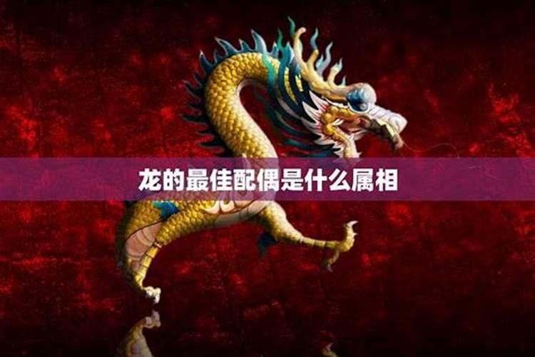 请问八二年的人属什么？和什么配？