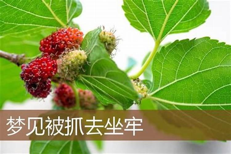 七五年都兔子女性在在2025年都4月份都财富运气如何