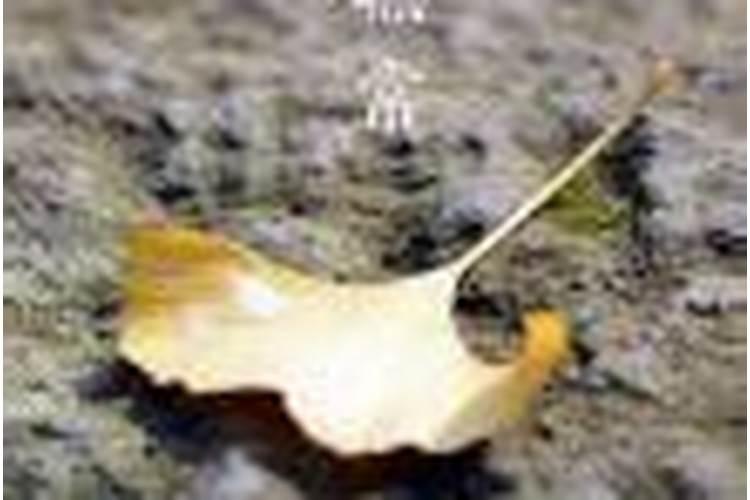 师傅您好,我堕胎十几年了,需要念诵多少地藏经回向给那可怜的孩子百度...