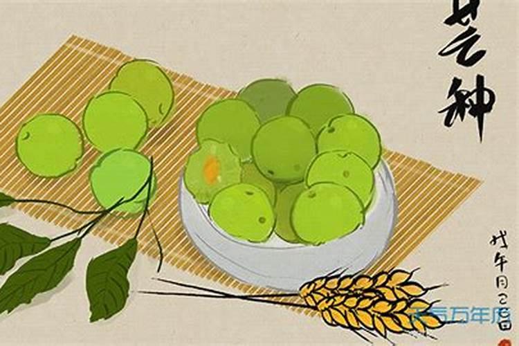 2025年白羊座7月份运势