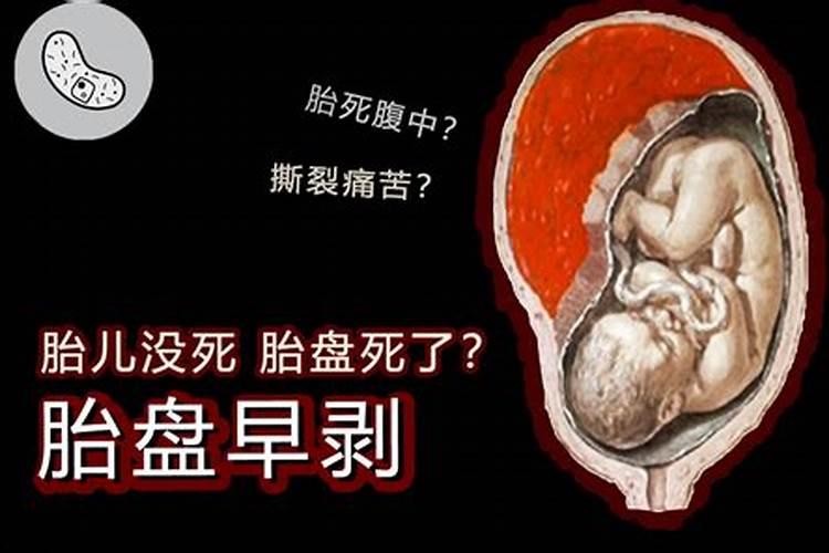 女属兔的和什么属相财运好,属兔和属兔的合财吗