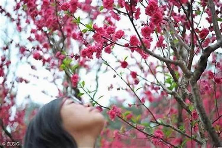女人怎么斩断自己的烂桃花